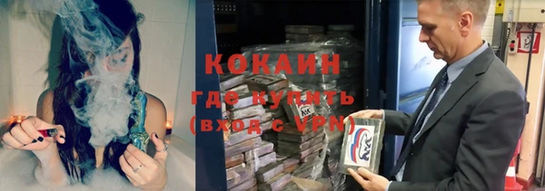 хмурый Белокуриха