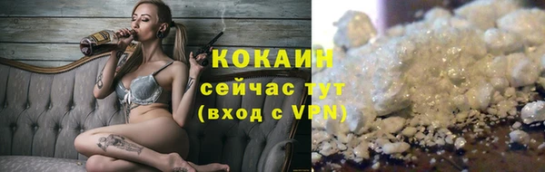 эйфоретик Бородино