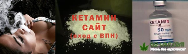 амф Гусев